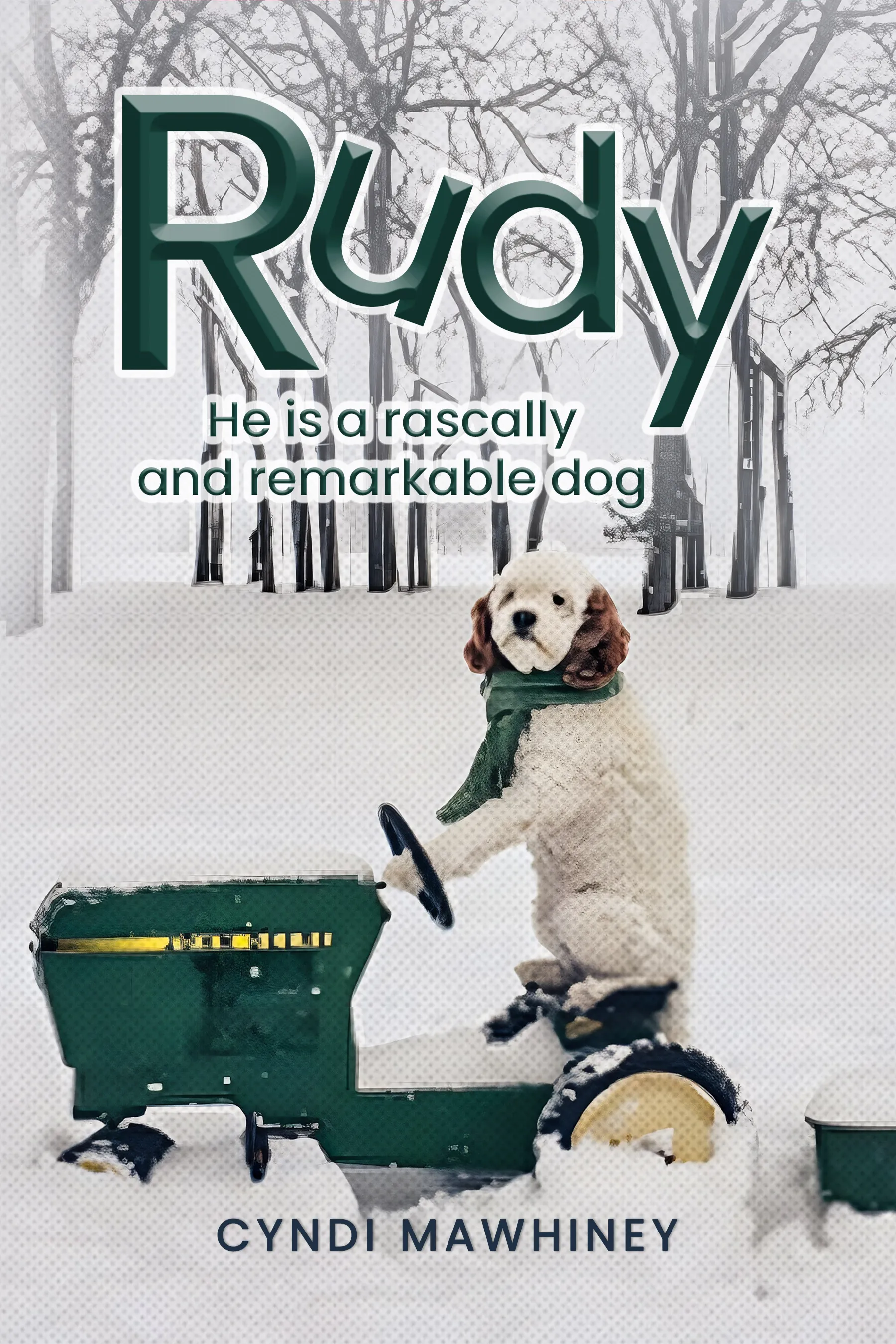 Non-Fiction Book 7